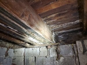 Moisture damage and wood rot on floor joists in a crawlspace before encapsulation in Lynchburg home