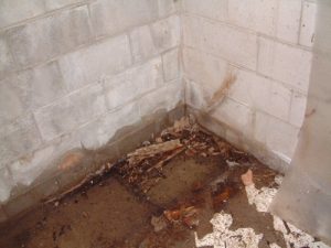 exterior-basement-waterproofing-sure-dri-basement-waterproofing-1
